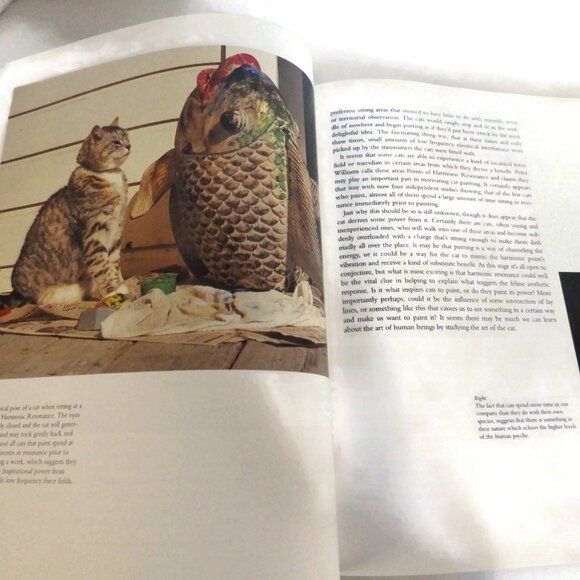 "Why Cats Paint" by Heather Busch and Burton Silver/ Cat Lovers' Book - Picture 3 of 5
